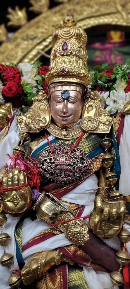 madurai-meenakshi-sundareshwar-temple-aani-utsav